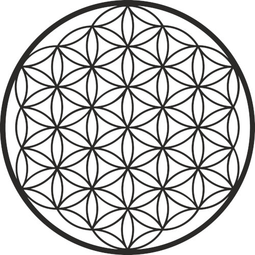 Madera con ánima: Mandalas de pared