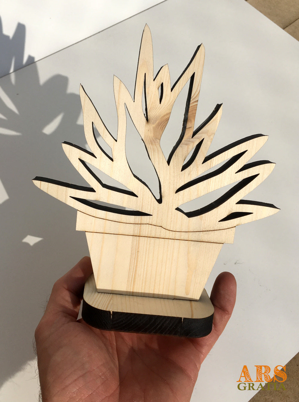 Plantas succulentas de madera