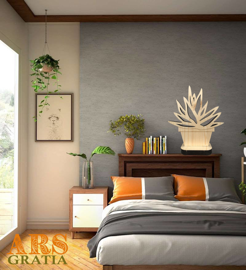 Plantas succulentas de madera